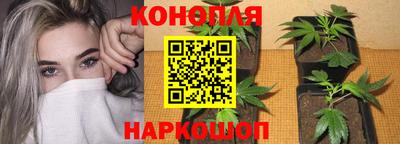 наркотики Баксан