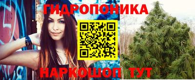 МДПВ Аша