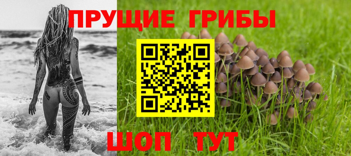 Асбест  Галлюциногенные грибы Psilocybine cubensis  Вход с VPN  Галлюциногенные грибы Psilocybe 